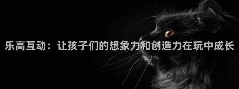 熊猫体育五金厂:乐高互动:让孩子们的想象力和创造力在玩中成长
