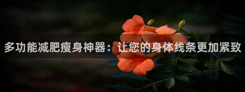 熊猫体育新能源:多功能减肥瘦身神器:让您的身体线条更加紧致